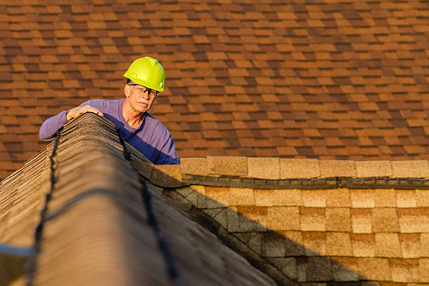 Best Roof Waterproofing Services  in Pine Hill, NJ