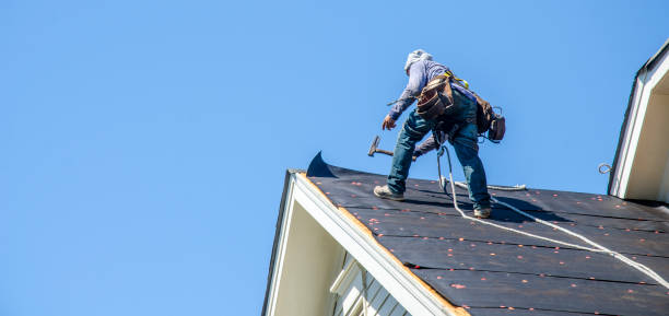 Best Commercial Roofing Services  in Pine Hill, NJ